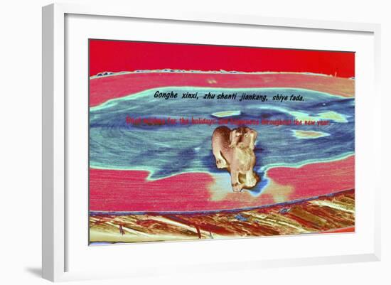 _DSC0008 (2)-Tom Kelly-Framed Giclee Print