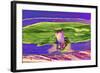 _DSC0009 (2)-Tom Kelly-Framed Giclee Print