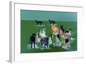 _DSC0039 (3)-Tom Kelly-Framed Giclee Print