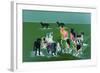 _DSC0039 (3)-Tom Kelly-Framed Giclee Print