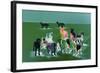 _DSC0039 (3)-Tom Kelly-Framed Giclee Print