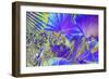 _DSC0044 - Copy-Tom Kelly-Framed Giclee Print