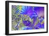 _DSC0044 - Copy-Tom Kelly-Framed Giclee Print