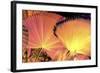 _DSC0045 - Copy-Tom Kelly-Framed Giclee Print