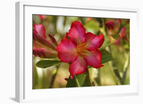 _DSC0079-Tom Kelly-Framed Giclee Print