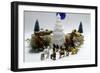 _DSC0089 (2)-Tom Kelly-Framed Giclee Print