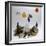 _DSC0091 (2)-Tom Kelly-Framed Giclee Print