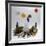 _DSC0091 (2)-Tom Kelly-Framed Giclee Print