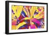 _DSC0132-Tom Kelly-Framed Giclee Print