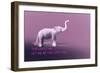 _DSC0208 (2)-Tom Kelly-Framed Giclee Print