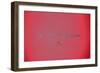 _DSC0230 (2)-Tom Kelly-Framed Giclee Print