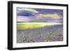 DSC0230-Autrain Island 5-Tom Kelly-Framed Photographic Print