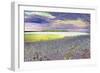 DSC0230-Autrain Island 5-Tom Kelly-Framed Photographic Print