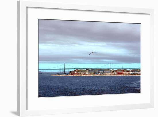 _DSC0232-Tom Kelly-Framed Giclee Print