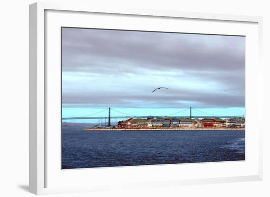 _DSC0232-Tom Kelly-Framed Giclee Print