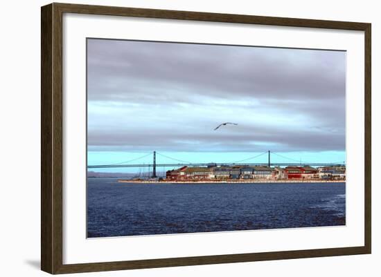 _DSC0232-Tom Kelly-Framed Giclee Print