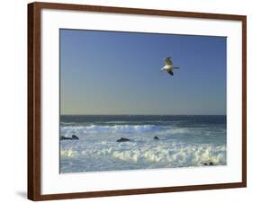 _DSC0368-Tom Kelly-Framed Giclee Print