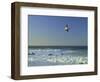 _DSC0368-Tom Kelly-Framed Giclee Print