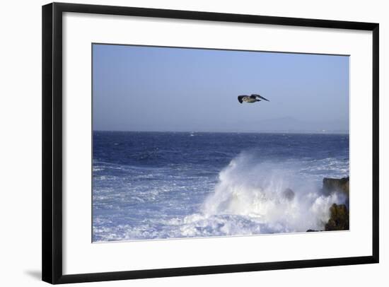 _DSC0389 - Edited-Tom Kelly-Framed Giclee Print