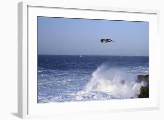 _DSC0389 - Edited-Tom Kelly-Framed Giclee Print