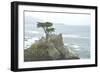 DSC0448-Tom Kelly-Framed Photographic Print