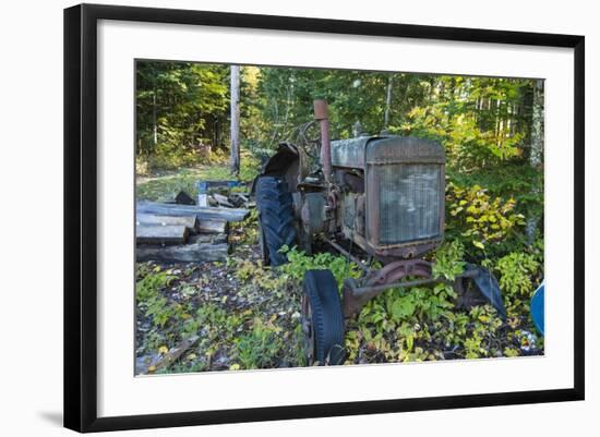 _DSC0451-Tom Kelly-Framed Giclee Print