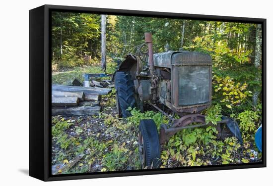 _DSC0451-Tom Kelly-Framed Stretched Canvas