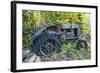 _DSC0453-Tom Kelly-Framed Giclee Print