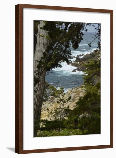 _DSC0469-Tom Kelly-Framed Giclee Print