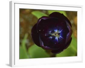 _DSC0563-Tom Kelly-Framed Giclee Print