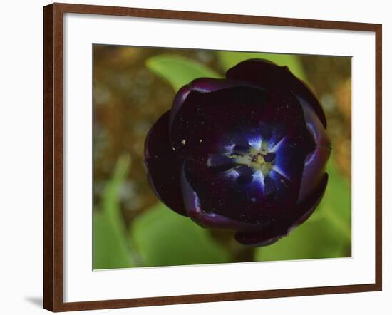 _DSC0563-Tom Kelly-Framed Giclee Print