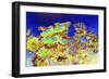 _DSC0676-Tom Kelly-Framed Giclee Print