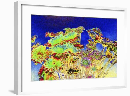 _DSC0676-Tom Kelly-Framed Giclee Print