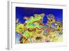 _DSC0676-Tom Kelly-Framed Giclee Print