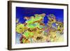 _DSC0676-Tom Kelly-Framed Giclee Print