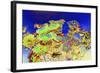 _DSC0676-Tom Kelly-Framed Giclee Print