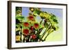 _DSC0677-Tom Kelly-Framed Giclee Print