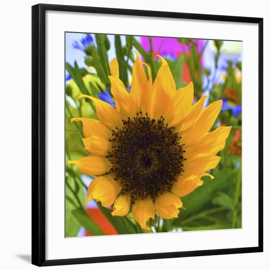 _DSC0685 (4)-Tom Kelly-Framed Giclee Print