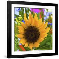 _DSC0685 (4)-Tom Kelly-Framed Giclee Print