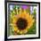 _DSC0685 (4)-Tom Kelly-Framed Giclee Print