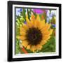 _DSC0685 (4)-Tom Kelly-Framed Giclee Print