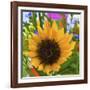 _DSC0685 (4)-Tom Kelly-Framed Giclee Print