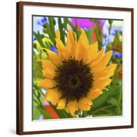 _DSC0685 (4)-Tom Kelly-Framed Giclee Print