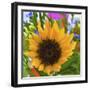 _DSC0685 (4)-Tom Kelly-Framed Giclee Print