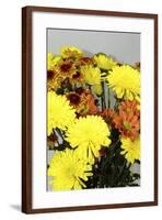 _DSC0716-Tom Kelly-Framed Giclee Print