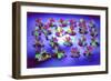 _DSC0795 (3)-Tom Kelly-Framed Giclee Print