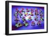 _DSC0795 (3)-Tom Kelly-Framed Giclee Print