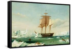 Dss 'Vincennes'-Captain Charles Wilkes-Framed Stretched Canvas