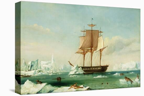 Dss 'Vincennes'-Captain Charles Wilkes-Stretched Canvas