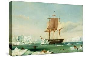 Dss 'Vincennes'-Captain Charles Wilkes-Stretched Canvas